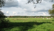 landschaft_zuetzen044